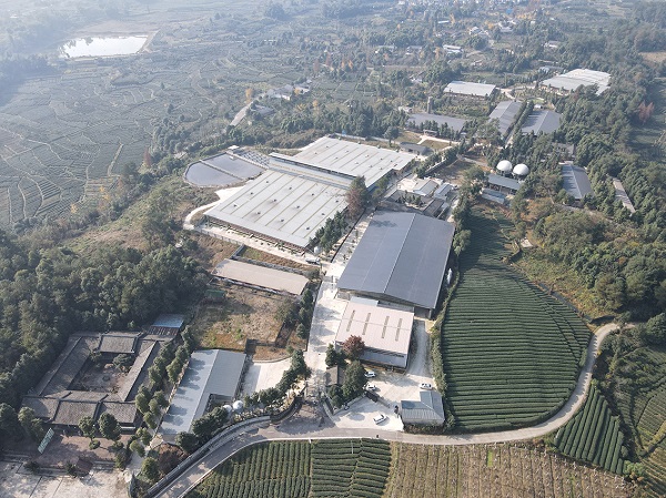 20241029113314615-10-a5d4b.jpg 20241029113314615-10-a5d4b.jpg