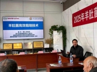 羊肚菌高效栽培技術(shù)觀摩培訓(xùn)會(huì)在成都東部新區(qū)舉辦 助力鄉(xiāng)村振興